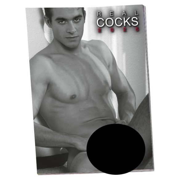 Men's calendar - 2023 (1pc)