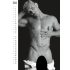 Men's calendar - 2023 (1pc)