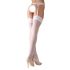 Cottelli - Lace Stockings (White)