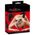 Bad Kitty - kattaneo met katstaart-anaalplug set (zwart)