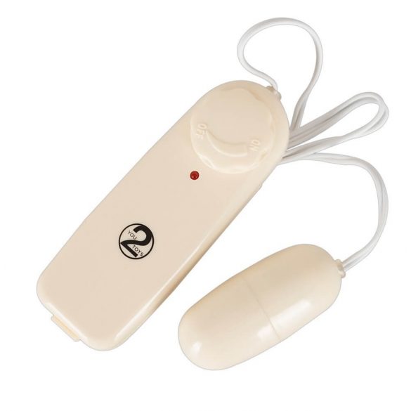 You2Toys - Geheime Vibratie-ei