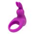 Anello Vibrante Happyrabbit Cock con Batteria Ricaricabile (viola)