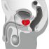 You2Toys - Prostatamasāža - rotējošs prostatas vibrators (melns)