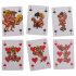 Kama Sutra - Fun French Card Deck Display - 24 pcs