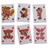 Kama Sutra - Fun French Playing Cards (54 pieces)