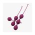 Cotoxo Belle - 3-Piece Kegel Ball Set (Purple)