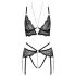 Abierta Fina - Open Lace Bra Set (Black)