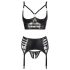 Abierta Fina - Sparkling Strappy Lace Lingerie Set (Black)