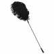 Bad Kitty - Feather Tickler (Black)