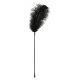 Bad Kitty - Feather Tickler (Black)