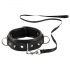 Bad Kitty - Spiked Collar with Leash (Black)