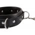 Bad Kitty - Spiked Collar with Leash (Black)