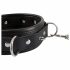 Bad Kitty - Spiked Collar with Leash (Black)