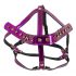 Bad Kitty - Rhinestone Head Harness (Metallic Pink)