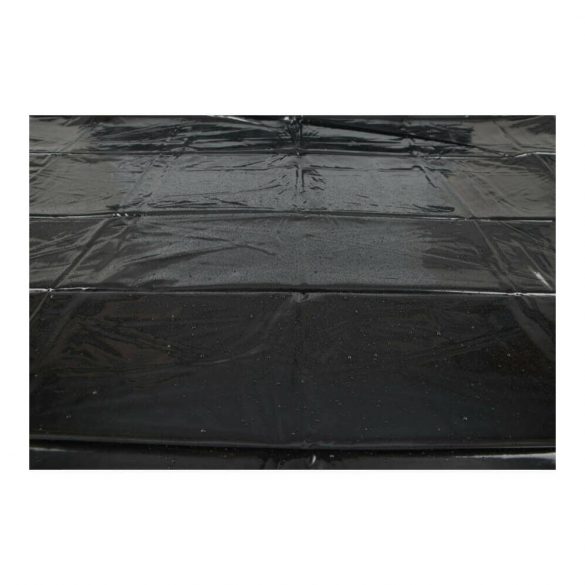 Shiny, Rubberized Sheet - Black (160 x 200cm)