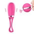 Dorcel Secret Delight - Rechargeable Wireless Vibrating Egg (Pink)