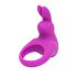 Anneau vibrant Happyrabbit - rechargeable (violet)