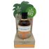 Coconutoil - Bio Bronzinis Aliejus (80ml)