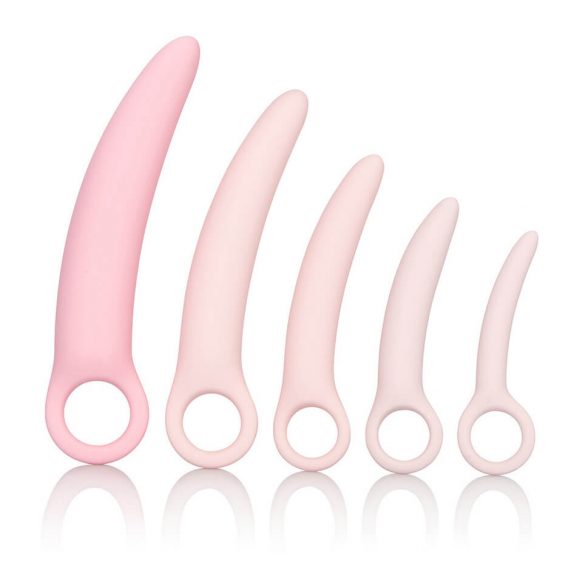 CalExotics Inspire - Medical Silicone Dilator Set (Pink)