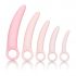 Set di dilatatori vaginali in silicone per la salute - Inspire di CalExotics (rosa)