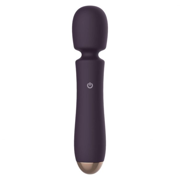 Raytech - Rechargeable, Waterproof Massage Vibrator (Purple)