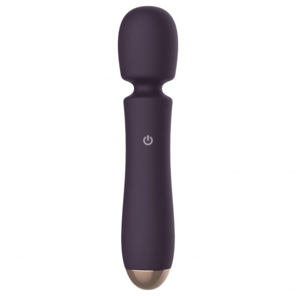 Raytech - masseur vibrant rechargeable étanche (violet)