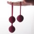 Engily Ross Kelly - 2-Piece Purple Kegel Ball Set