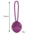 Engily Ross Leigh - Silicone Kegel Ball (Purple)