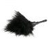 Easytoys - Small Feather Tickler (Black)