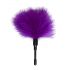 Easytoys Mini - Real Feather Tickler (Purple)