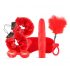 LoveBoxxx I Love Red - Vibrator Bondage Set (6-Piece) - Red