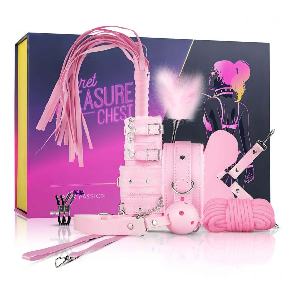 Geheime Genoegens Koffer - gevorderd BDSM set - 14 delen (roze)