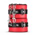 Secret Pleasure Chest - Advanced BDSM Kit - 10 Pieces (Red)