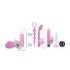 LoveBoxxx Flirty 'n Sweet - Beginner Vibrator Set (9-Piece)