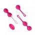 Easytoys LoveBalls - set de bile vaginale vibratoare - 3 piese (roz)