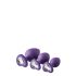 Flirts Anal Training Kit - Purple (3pcs)