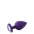 Kit di Allenamento Anale Flirts - Set di Dildo Anali (3 pezzi) - Viola