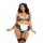 Dreamgirls Maid Costume Plus Size Sheer Mesh (XL-XXL)