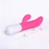 Vibratore ricaricabile LOVENSE Nora controllabile via smartphone