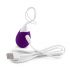 FEELZTOYS Anna - œuf vibrant rechargeable sans fil (violet)