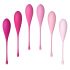 FEELZTOys Femmefit - set bile vaginale (6 piese)