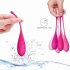 Set di palline vaginali FEELZTOYS Femmefit - per il rinforzo pelvico (6 pezzi)