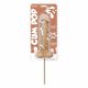 Giant Penis Lollipop (295g) - Milk Chocolate