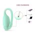 Mint Smart Kegel Ball (Mint)