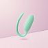 Mint Smart Kegel Ball (Mint)